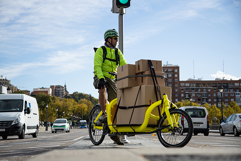 Cargo Bike Delivery